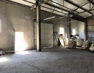 Industrial space for rent in Cluj-napoca, zone Baciu