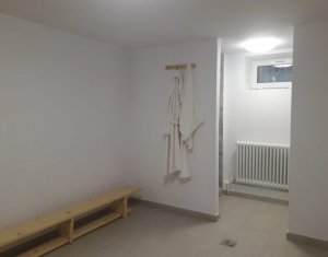 Commercial space for rent in Cluj-napoca, zone Gheorgheni