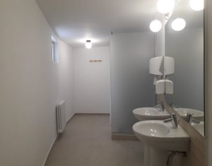 Espace Commercial à louer dans Cluj-napoca, zone Gheorgheni