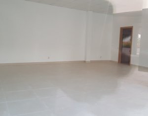 Commercial space for rent in Cluj-napoca, zone Centru