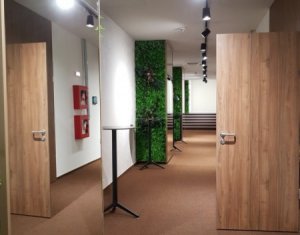 Office for rent in Cluj-napoca, zone Gruia