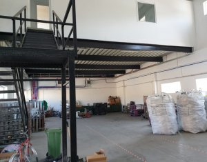 Industrial space for rent in Floresti