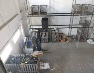 Industrial space for rent in Floresti