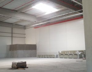 Industrial space for rent in Floresti