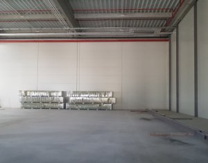 Industrial space for rent in Floresti