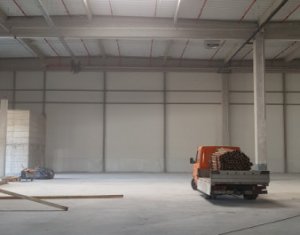 Industrial space for rent in Floresti