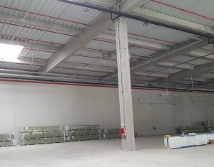 Industrial space for rent in Floresti