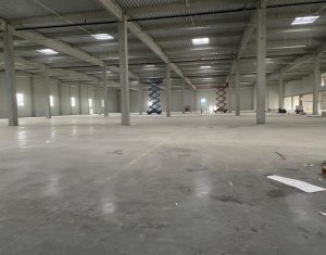 Industrial space for rent in Floresti