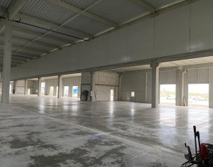 Industrial space for rent in Floresti