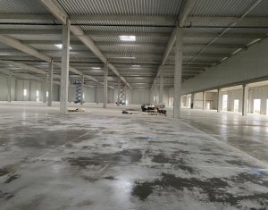 Industrial space for rent in Floresti