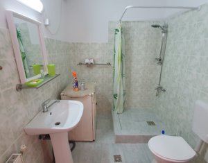 Apartment 1 rooms for rent in Floresti