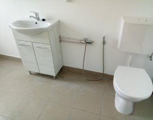 House 4 rooms for rent in Floresti