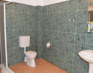 Inchiriere casa individuala, 604 mp, centru, zona str Sextil Puscariu