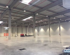 Industrial space for rent in Jucu