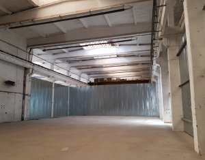 Industrial space for rent in Cluj-napoca, zone Dambul Rotund