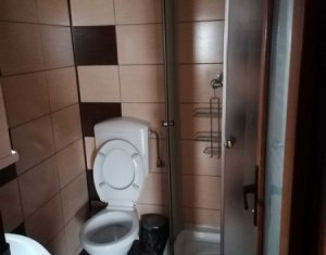 House 3 rooms for rent in Cluj-napoca, zone Intre Lacuri