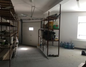 Commercial space for rent in Floresti