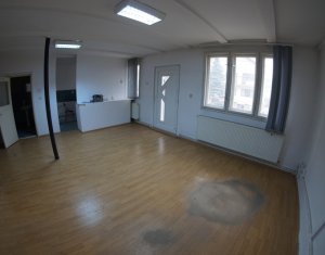 Maison 1 chambres à louer dans Cluj-napoca, zone Zorilor