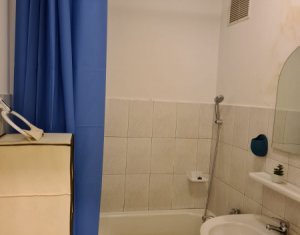 Appartement 1 chambres à louer dans Cluj-napoca, zone Gheorgheni