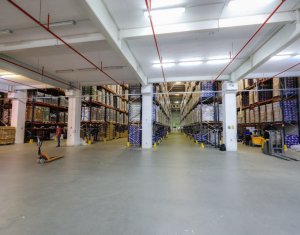 Industrial space for rent in Cluj-napoca, zone Someseni