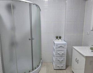 Apartment 2 rooms for rent in Floresti