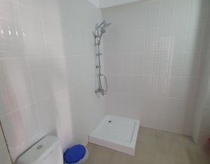 Apartment 2 rooms for rent in Floresti