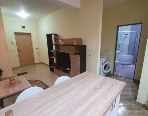 Apartment 2 rooms for rent in Floresti