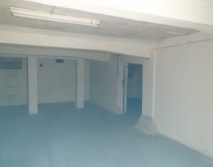 Industrial space for rent in Cluj-napoca, zone Bulgaria