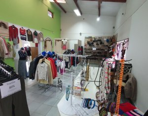 Spatiu mixt, birouri si comercial, zona Avram Iancu