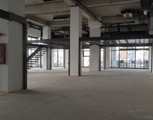 Espace Commercial à louer dans Cluj-napoca, zone Gruia