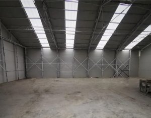 Industrial space for rent in Baciu