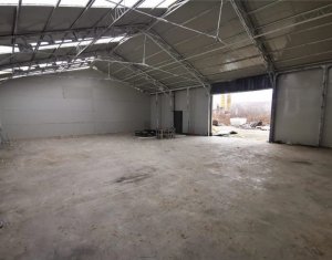 Industrial space for rent in Baciu