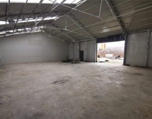 Espace Industriel à louer dans Baciu