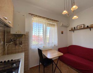 Appartement 1 chambres à louer dans Cluj-napoca, zone Marasti