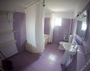 Maison 5 chambres à louer dans Cluj-napoca, zone Someseni