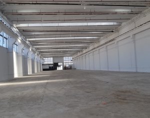 Industrial space for rent in Cluj-napoca, zone Iris