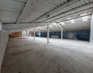 Industrial space for rent in Floresti