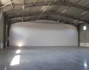 Industrial space for rent in Cluj-napoca, zone Someseni