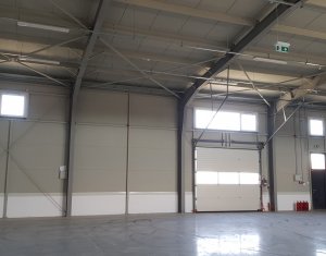 Industrial space for rent in Cluj-napoca, zone Someseni