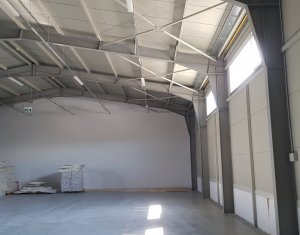 Industrial space for rent in Cluj-napoca, zone Someseni