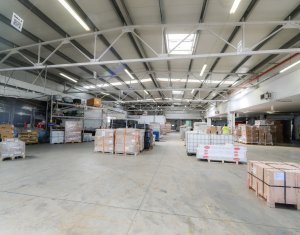 Espace Industriel à louer dans Cluj-napoca, zone Someseni