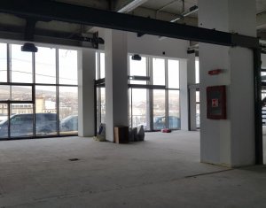 Espace Commercial à louer dans Cluj-napoca, zone Gruia