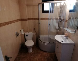 House 12 rooms for rent in Cluj-napoca, zone Grigorescu