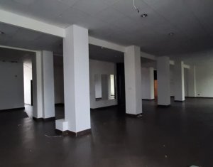 Espace Commercial à louer dans Cluj-napoca, zone Centru