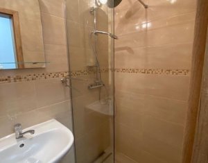 Apartment 3 rooms for rent in Cluj-napoca, zone Europa