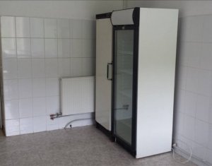 Industrial space for rent in Cluj-napoca, zone Dambul Rotund