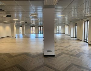 Office for rent in Cluj-napoca, zone Centru