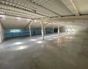 Industrial space for rent in Floresti