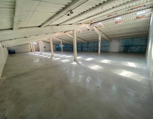 Industrial space for rent in Floresti