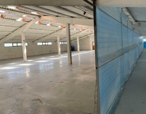 Industrial space for rent in Floresti